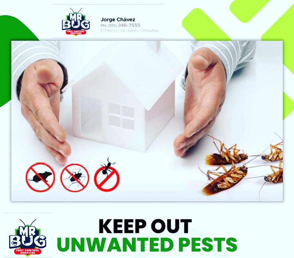 Mr Bug Pest Control, owned by Jorge Chávez, serving El Paso, TX